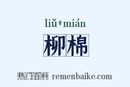 柳棉是什么意思的图片